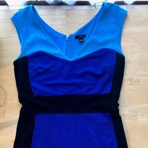 Ann Taylor Dress
